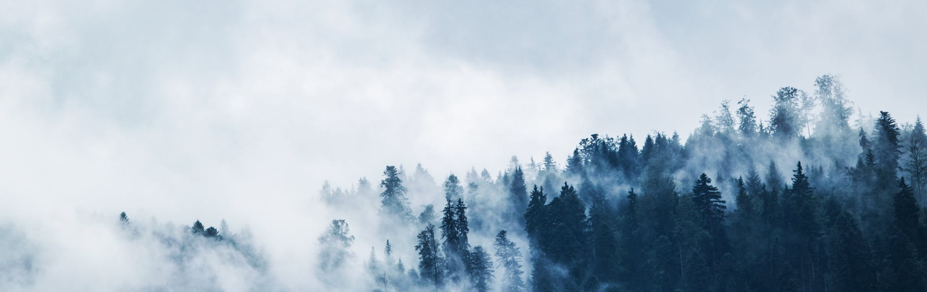 Retreat with Purpose