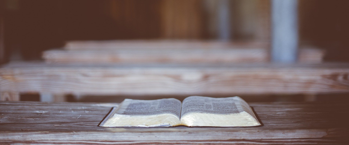 A Brief Plea for Sunday School